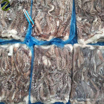 Fournisseur de tête de tentacule de calmar Gigas géant du Pérou congelé
